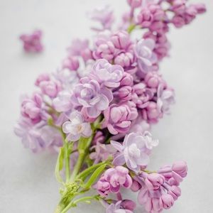 Meet your Posher, Wendy